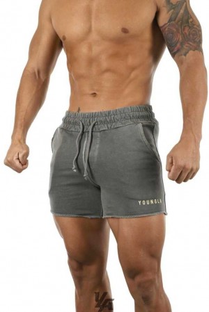 Ash Grey Wash YoungLa 103 Shorts Pigment Washed | 7149-AGNRO