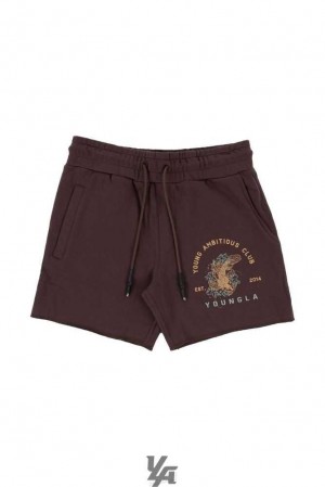 Brown YoungLa 111 Dedication Short Shorts | 2319-LGKCN