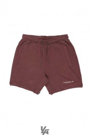 Brown YoungLa 118 The Perfect Shorts | 3750-GNJCR