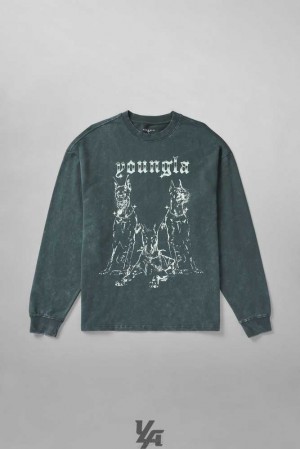 Deep Teal Wash YoungLa 804 For All The Dogs Longsleeves | 9145-OWCYG