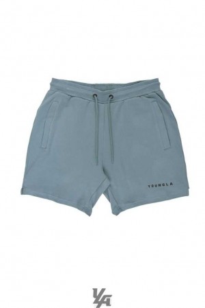 Grey Blue YoungLa 118 The Perfect Shorts | 5321-MLVFS