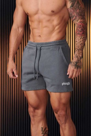 Grey Wash YoungLa 107 - Chrome Shorts | 4639-BTSYP