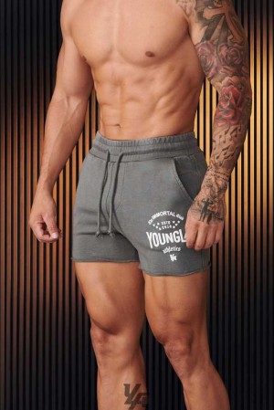 Grey Wash YoungLa 152 - Immortal Shorts | 5321-DZGWB