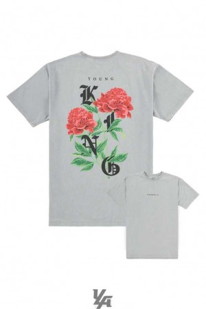 Grey Washed YoungLa 453 Young King Tees | 6102-RMDUG