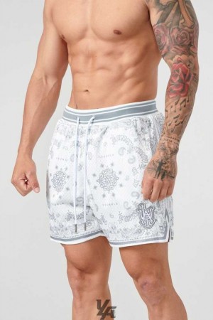 Grey YoungLa 132 Infamous Bandana Shorts | 2108-ASDIG