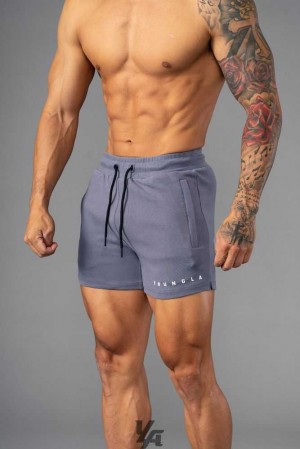 Nardo Grey YoungLa 113 The Perfect Short Shorts | 8309-KVAJY