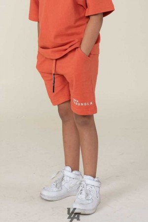 Orange YoungLa L101 High-Density Logo Shorts | 7493-UCHJA