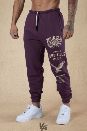 Plum Perfect YoungLa 233 The Immortal Joggers Fall 22" | 6805-XKUZE