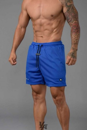 Royal Blue YoungLa 130 Essential Basketball Shorts | 8159-EQGSH