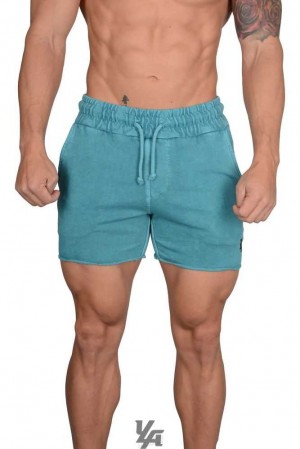 Teal Wash YoungLa 102 Bodybuilding French Terry Shorts | 8974-LCQHF