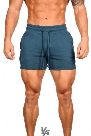 Teal YoungLa 102 Bodybuilding French Terry Shorts | 1736-WZANI