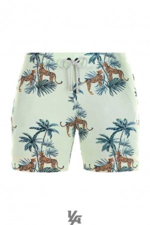 Tropical Cheetah YoungLa 128 Abstract Swim Shorts '22 | 7321-FKEDC