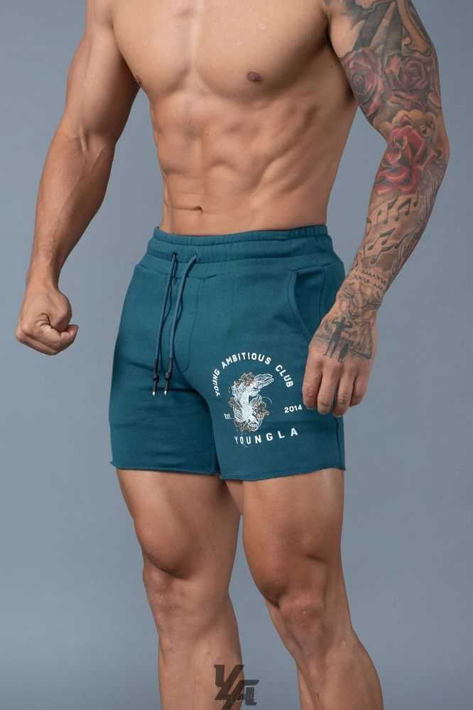 Teal YoungLa 111 Dedication Short Shorts | 7624-IAXDQ