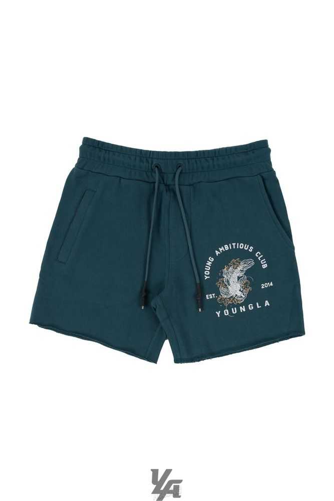 Teal YoungLa 111 Dedication Short Shorts | 7624-IAXDQ